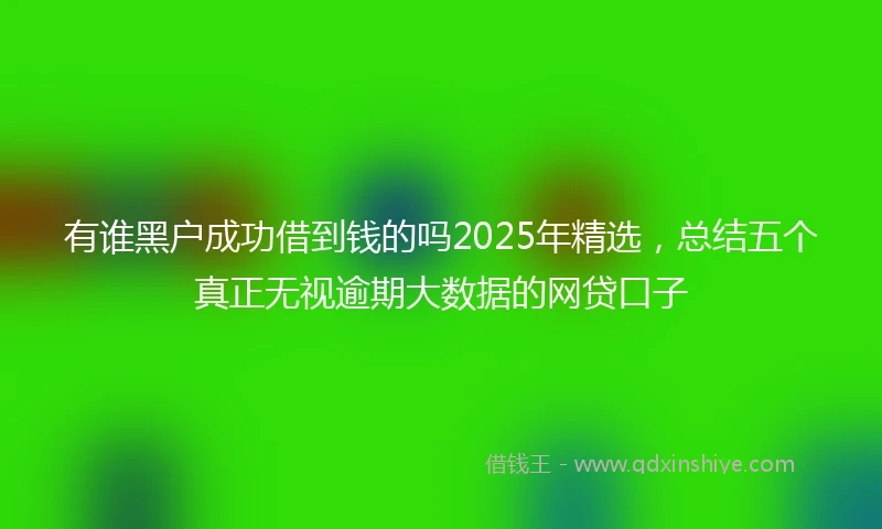 有谁黑户成功借到钱的吗2025年精选，总结五个真正无视逾期大数据的网贷口子