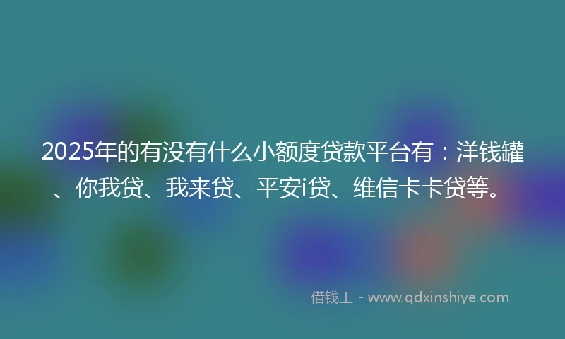 2025年的有没有什么小额度贷款平台有：洋钱罐、你我贷、我来贷、平安i贷、维信卡卡贷等。