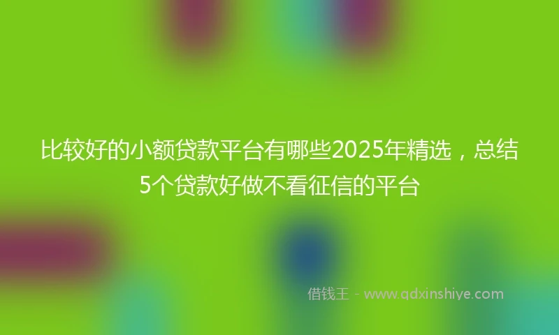 比较好的小额贷款平台有哪些2025年精选，总结5个贷款好做不看征信的平台