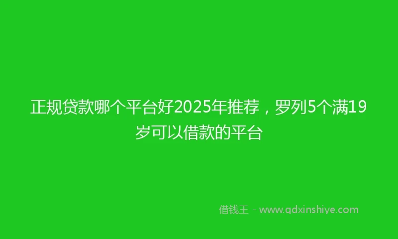 正规贷款哪个平台好2025年推荐，罗列5个满19岁可以借款的平台