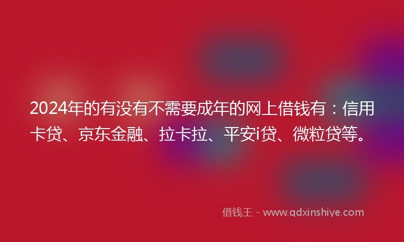 2024年的有没有不需要成年的网上借钱有：信用卡贷、京东金融、拉卡拉、平安i贷、微粒贷等。