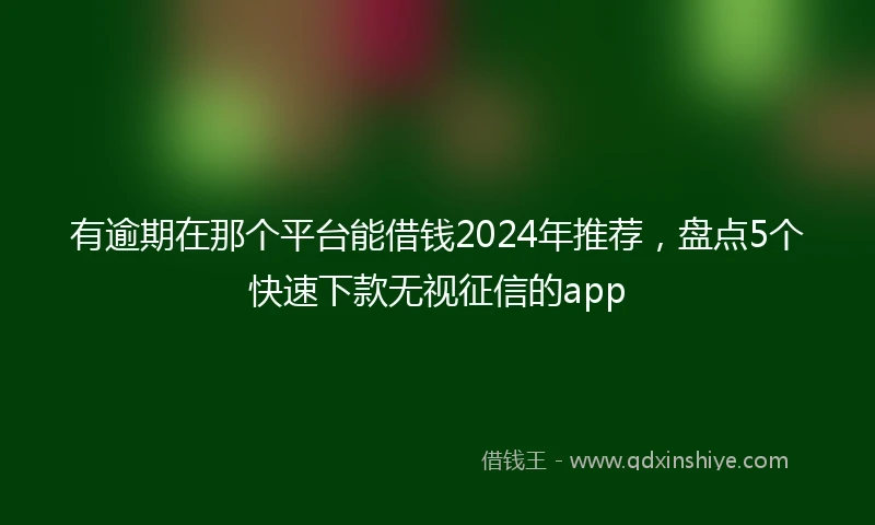 有逾期在那个平台能借钱2024年推荐，盘点5个快速下款无视征信的app