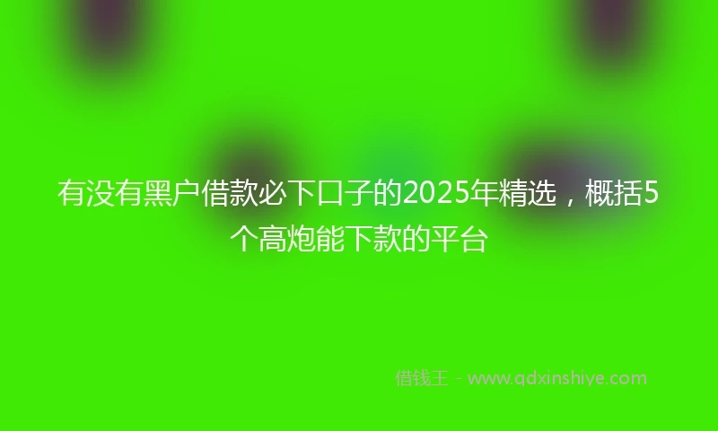 有没有黑户借款必下口子的2025年精选，概括5个高炮能下款的平台