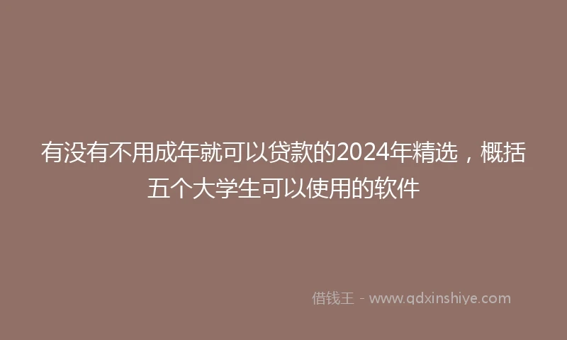 有没有不用成年就可以贷款的2024年精选，概括五个大学生可以使用的软件