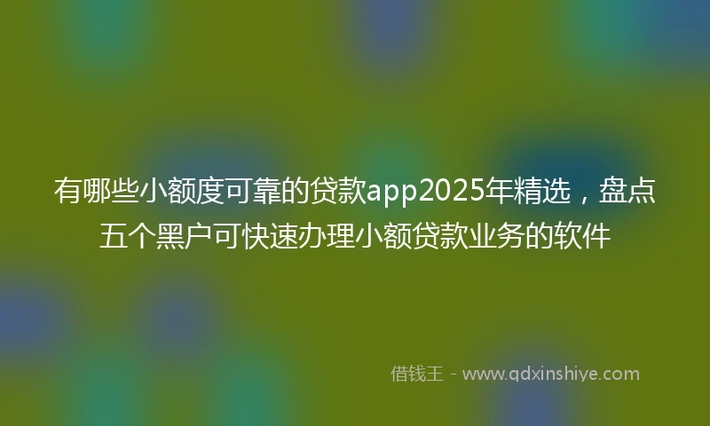 有哪些小额度可靠的贷款app2025年精选，盘点五个黑户可快速办理小额贷款业务的软件