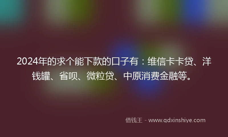 2024年的求个能下款的口子有：维信卡卡贷、洋钱罐、省呗、微粒贷、中原消费金融等。