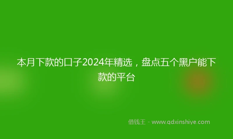 本月下款的口子2024年精选，盘点五个黑户能下款的平台