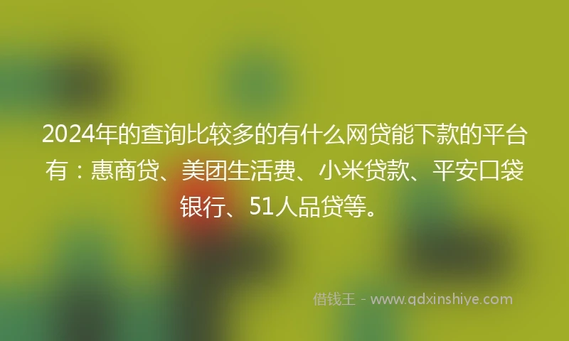2024年的查询比较多的有什么网贷能下款的平台有：惠商贷、美团生活费、小米贷款、平安口袋银行、51人品贷等。
