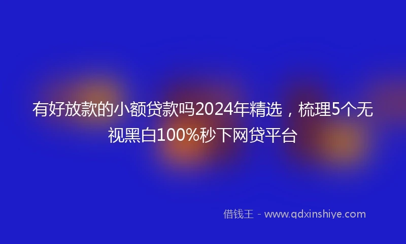 有好放款的小额贷款吗2024年精选，梳理5个无视黑白100%秒下网贷平台