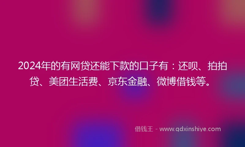 2024年的有网贷还能下款的口子有：还呗、拍拍贷、美团生活费、京东金融、微博借钱等。