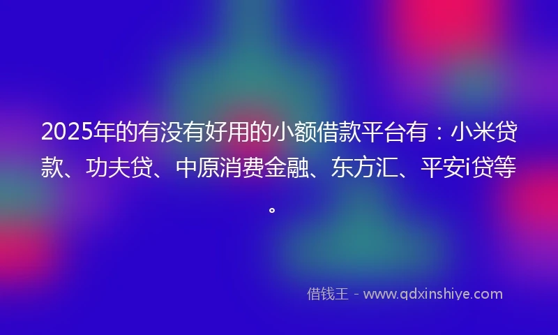 2025年的有没有好用的小额借款平台有：小米贷款、功夫贷、中原消费金融、东方汇、平安i贷等。
