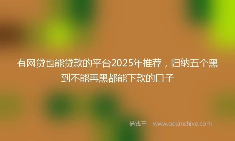 有网贷也能贷款的平台2025年推荐，归纳五个黑到不能再黑都能下款的口子