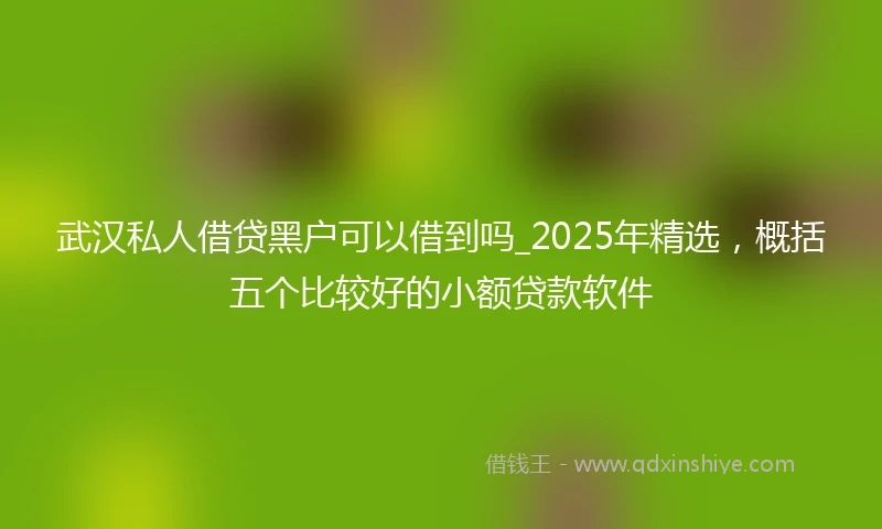 武汉私人借贷黑户可以借到吗_2025年精选，概括五个比较好的小额贷款软件