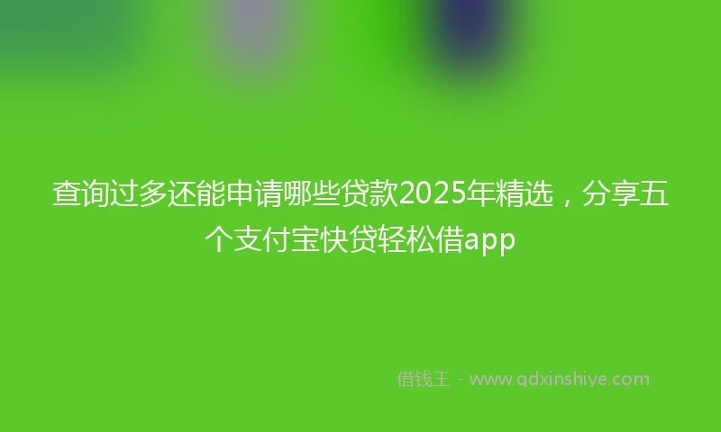 查询过多还能申请哪些贷款2025年精选，分享五个支付宝快贷轻松借app