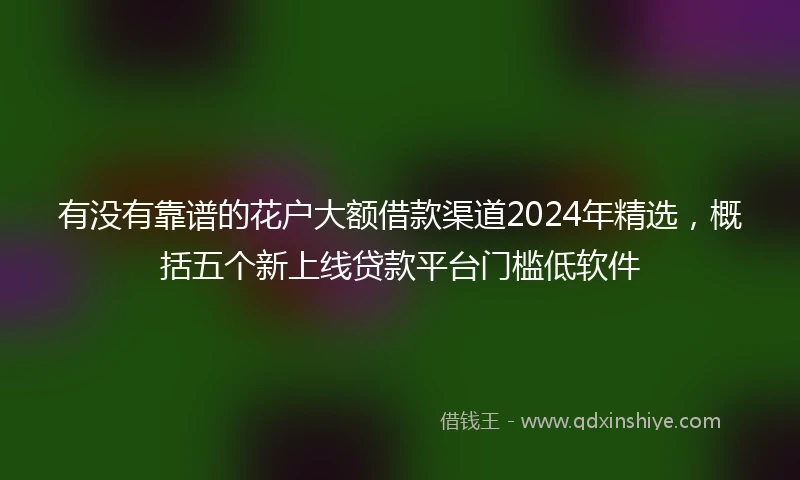 有没有靠谱的花户大额借款渠道2024年精选，概括五个新上线贷款平台门槛低软件