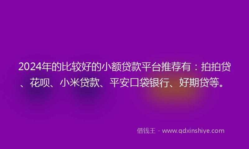2024年的比较好的小额贷款平台推荐有：拍拍贷、花呗、小米贷款、平安口袋银行、好期贷等。