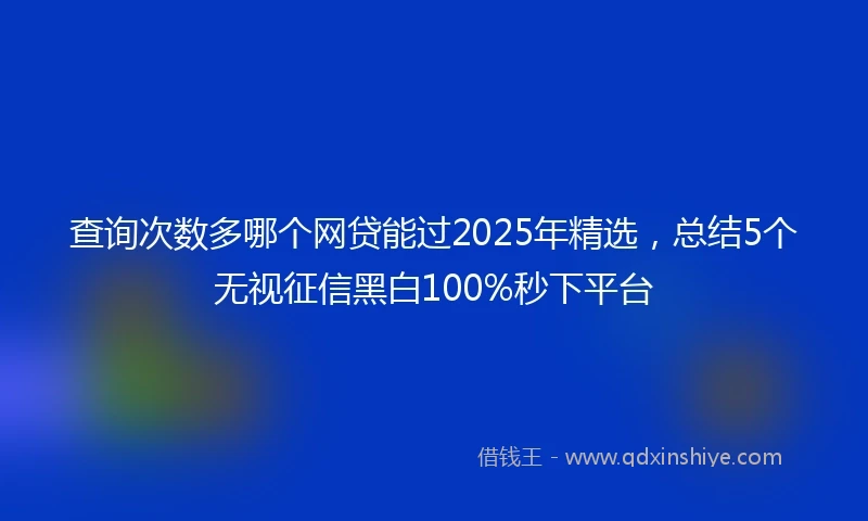 查询次数多哪个网贷能过2025年精选，总结5个无视征信黑白100%秒下平台
