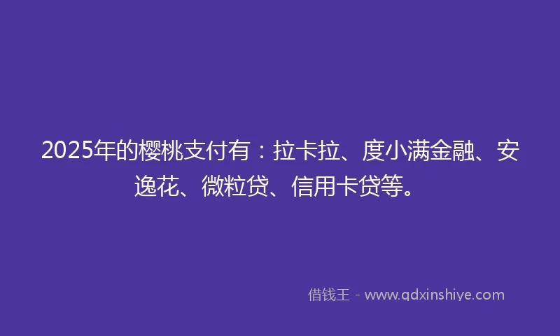 2025年的樱桃支付有：拉卡拉、度小满金融、安逸花、微粒贷、信用卡贷等。