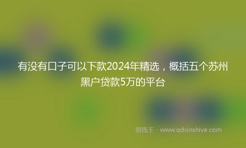 有没有口子可以下款2024年精选，概括五个苏州黑户贷款5万的平台