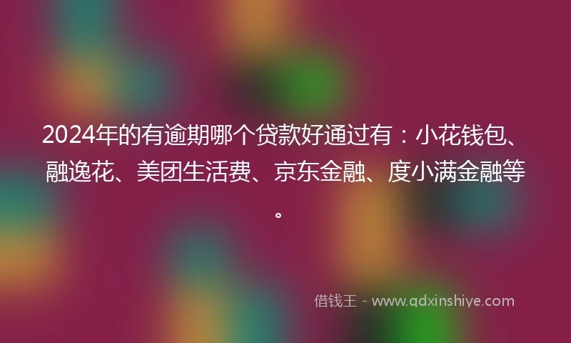 2024年的有逾期哪个贷款好通过有：小花钱包、融逸花、美团生活费、京东金融、度小满金融等。
