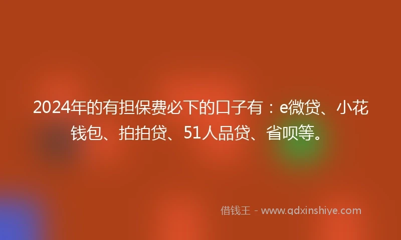 2024年的有担保费必下的口子有：e微贷、小花钱包、拍拍贷、51人品贷、省呗等。