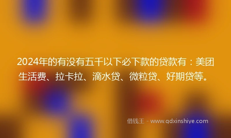 2024年的有没有五千以下必下款的贷款有：美团生活费、拉卡拉、滴水贷、微粒贷、好期贷等。