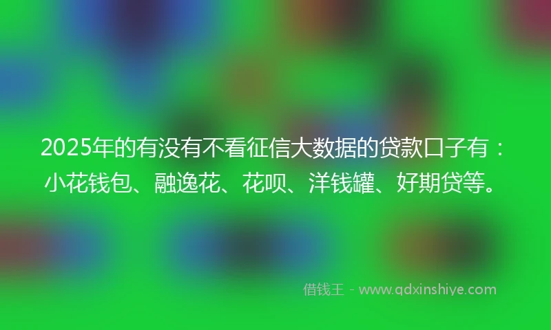 2025年的有没有不看征信大数据的贷款口子有：小花钱包、融逸花、花呗、洋钱罐、好期贷等。