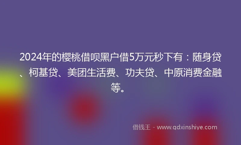 2024年的樱桃借呗黑户借5万元秒下有：随身贷、柯基贷、美团生活费、功夫贷、中原消费金融等。
