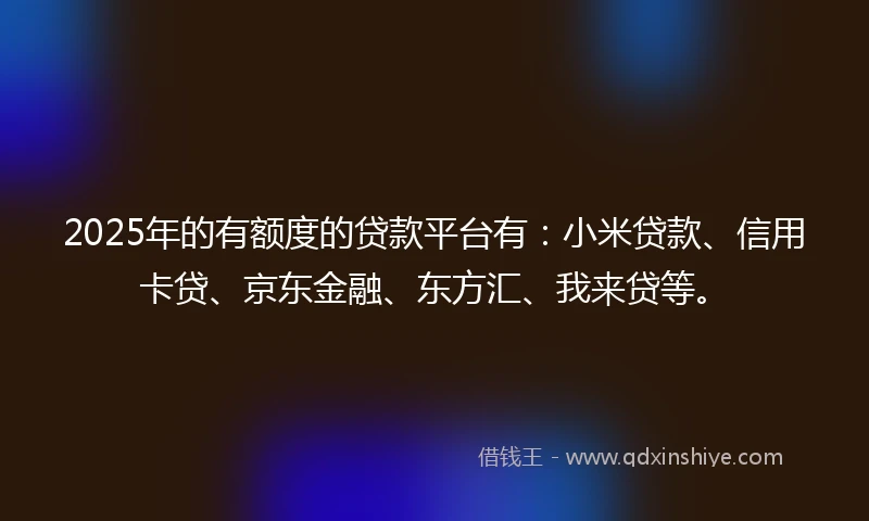2025年的有额度的贷款平台有：小米贷款、信用卡贷、京东金融、东方汇、我来贷等。
