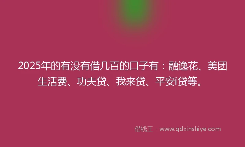 2025年的有没有借几百的口子有：融逸花、美团生活费、功夫贷、我来贷、平安i贷等。