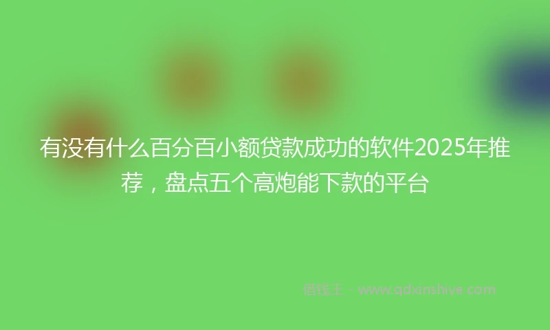 有没有什么百分百小额贷款成功的软件2025年推荐，盘点五个高炮能下款的平台
