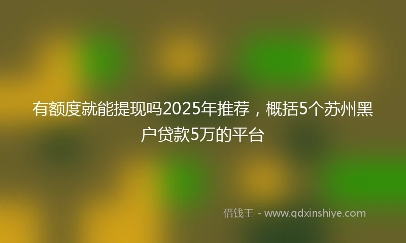 有额度就能提现吗2025年推荐，概括5个苏州黑户贷款5万的平台