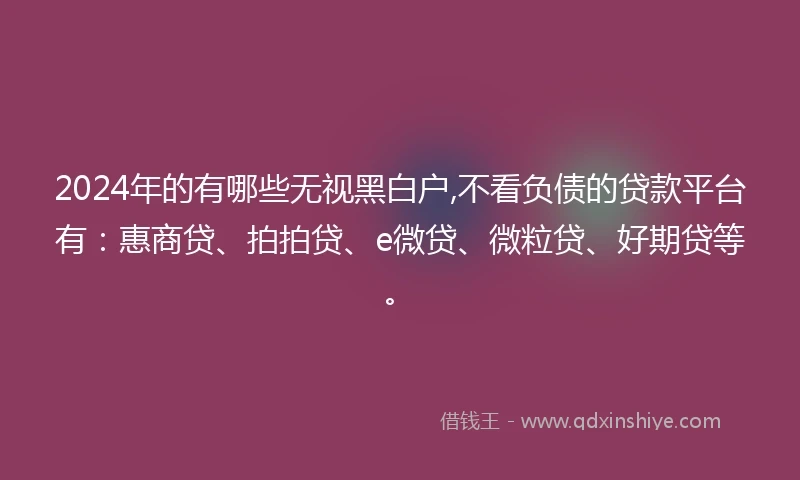 2024年的有哪些无视黑白户,不看负债的贷款平台有：惠商贷、拍拍贷、e微贷、微粒贷、好期贷等。