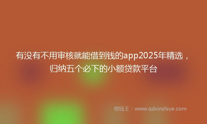 有没有不用审核就能借到钱的app2025年精选，归纳五个必下的小额贷款平台