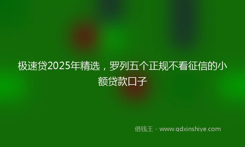 极速贷2025年精选，罗列五个正规不看征信的小额贷款口子