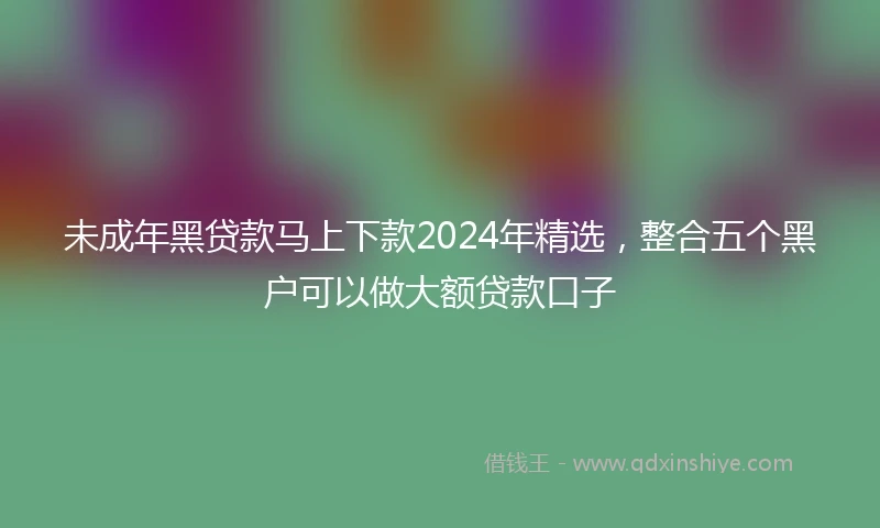 未成年黑贷款马上下款2024年精选，整合五个黑户可以做大额贷款口子