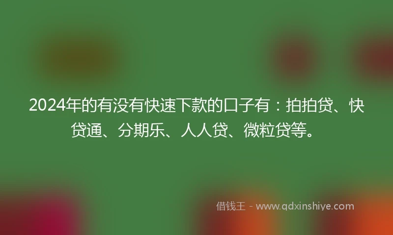 2024年的有没有快速下款的口子有：拍拍贷、快贷通、分期乐、人人贷、微粒贷等。