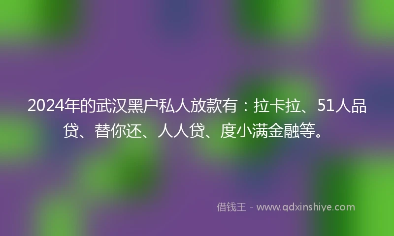 2024年的武汉黑户私人放款有：拉卡拉、51人品贷、替你还、人人贷、度小满金融等。