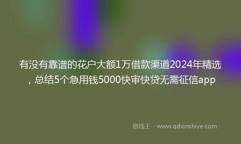 有没有靠谱的花户大额1万借款渠道2024年精选，总结5个急用钱5000快审快贷无需征信app
