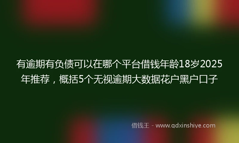 有逾期有负债可以在哪个平台借钱年龄18岁2025年推荐，概括5个无视逾期大数据花户黑户口子