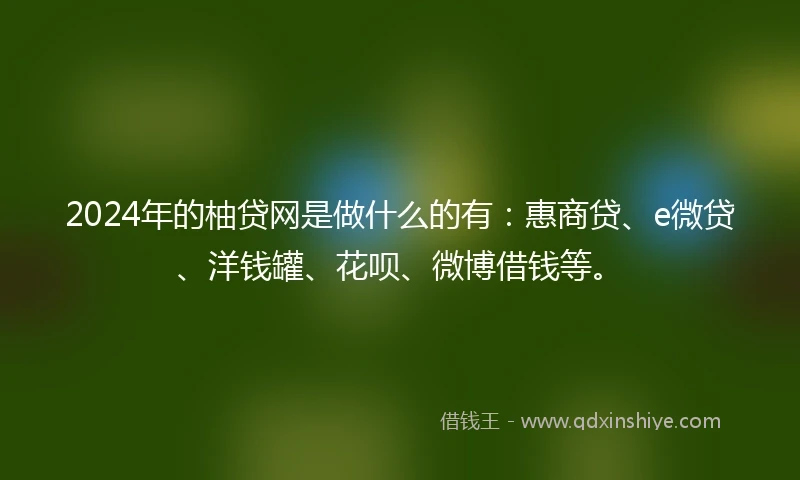 2024年的柚贷网是做什么的有：惠商贷、e微贷、洋钱罐、花呗、微博借钱等。