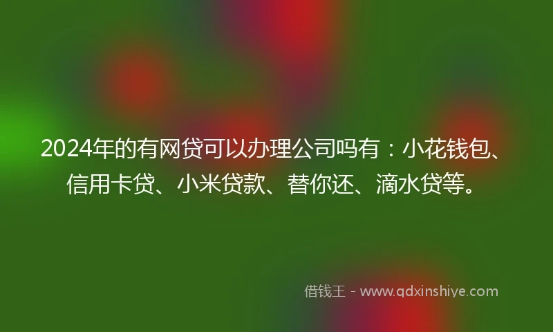 2024年的有网贷可以办理公司吗有：小花钱包、信用卡贷、小米贷款、替你还、滴水贷等。