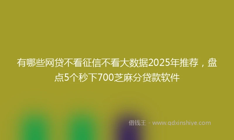 有哪些网贷不看征信不看大数据2025年推荐，盘点5个秒下700芝麻分贷款软件
