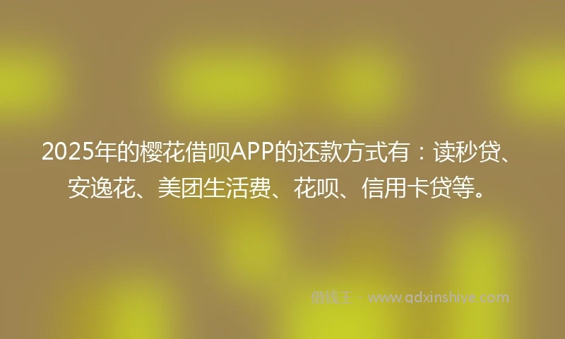 2025年的樱花借呗APP的还款方式有：读秒贷、安逸花、美团生活费、花呗、信用卡贷等。
