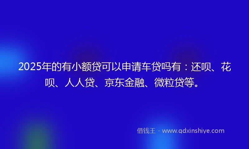 2025年的有小额贷可以申请车贷吗有：还呗、花呗、人人贷、京东金融、微粒贷等。