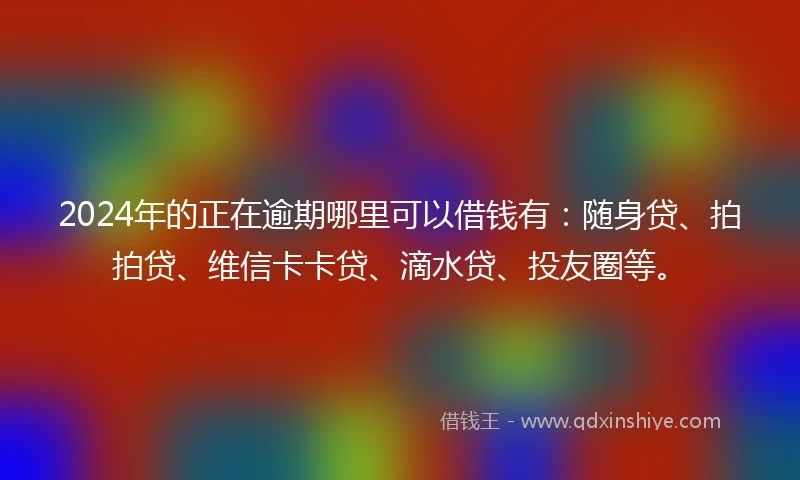 2024年的正在逾期哪里可以借钱有：随身贷、拍拍贷、维信卡卡贷、滴水贷、投友圈等。