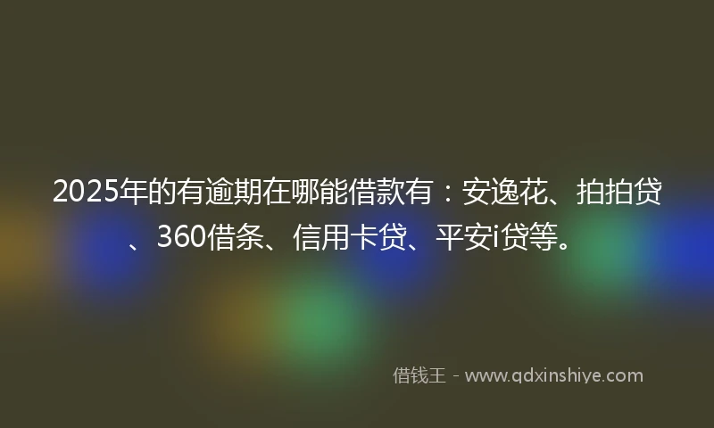 2025年的有逾期在哪能借款有：安逸花、拍拍贷、360借条、信用卡贷、平安i贷等。
