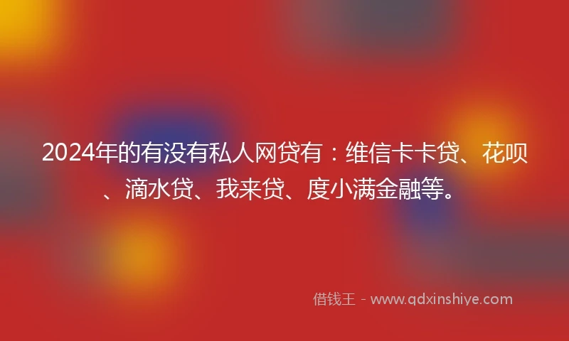 2024年的有没有私人网贷有：维信卡卡贷、花呗、滴水贷、我来贷、度小满金融等。