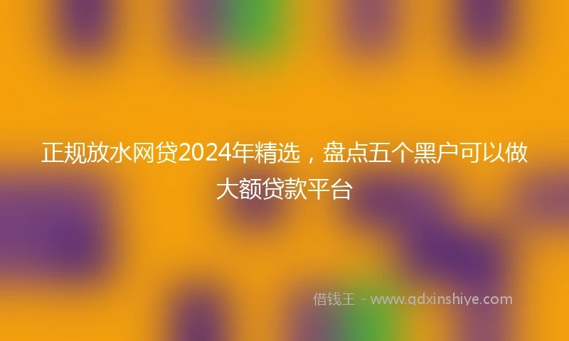 正规放水网贷2024年精选，盘点五个黑户可以做大额贷款平台