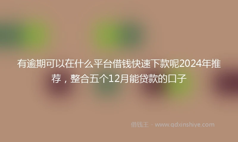 有逾期可以在什么平台借钱快速下款呢2024年推荐，整合五个12月能贷款的口子